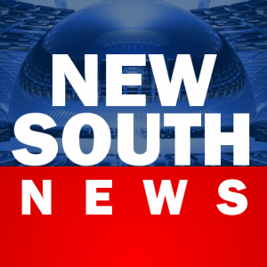 Logo- New South News